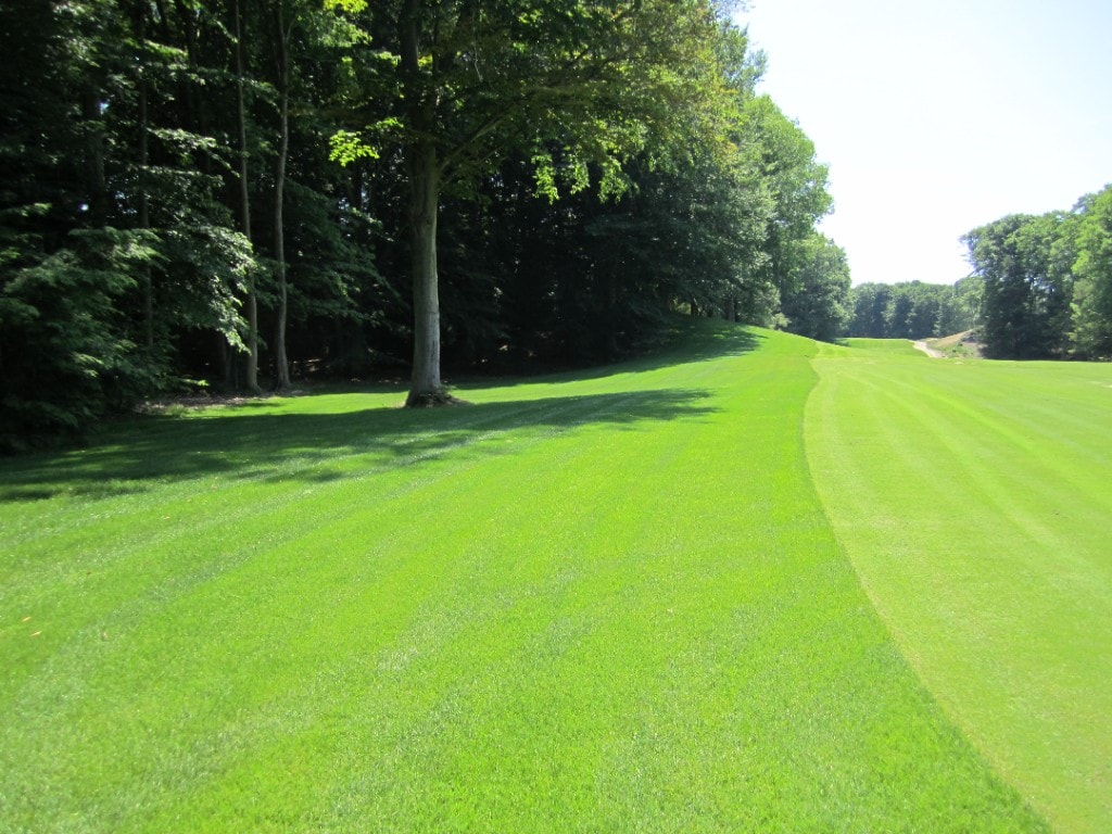 Established green fairway lined with mature trees at American Dunes golf course after hydroseeding grow-in