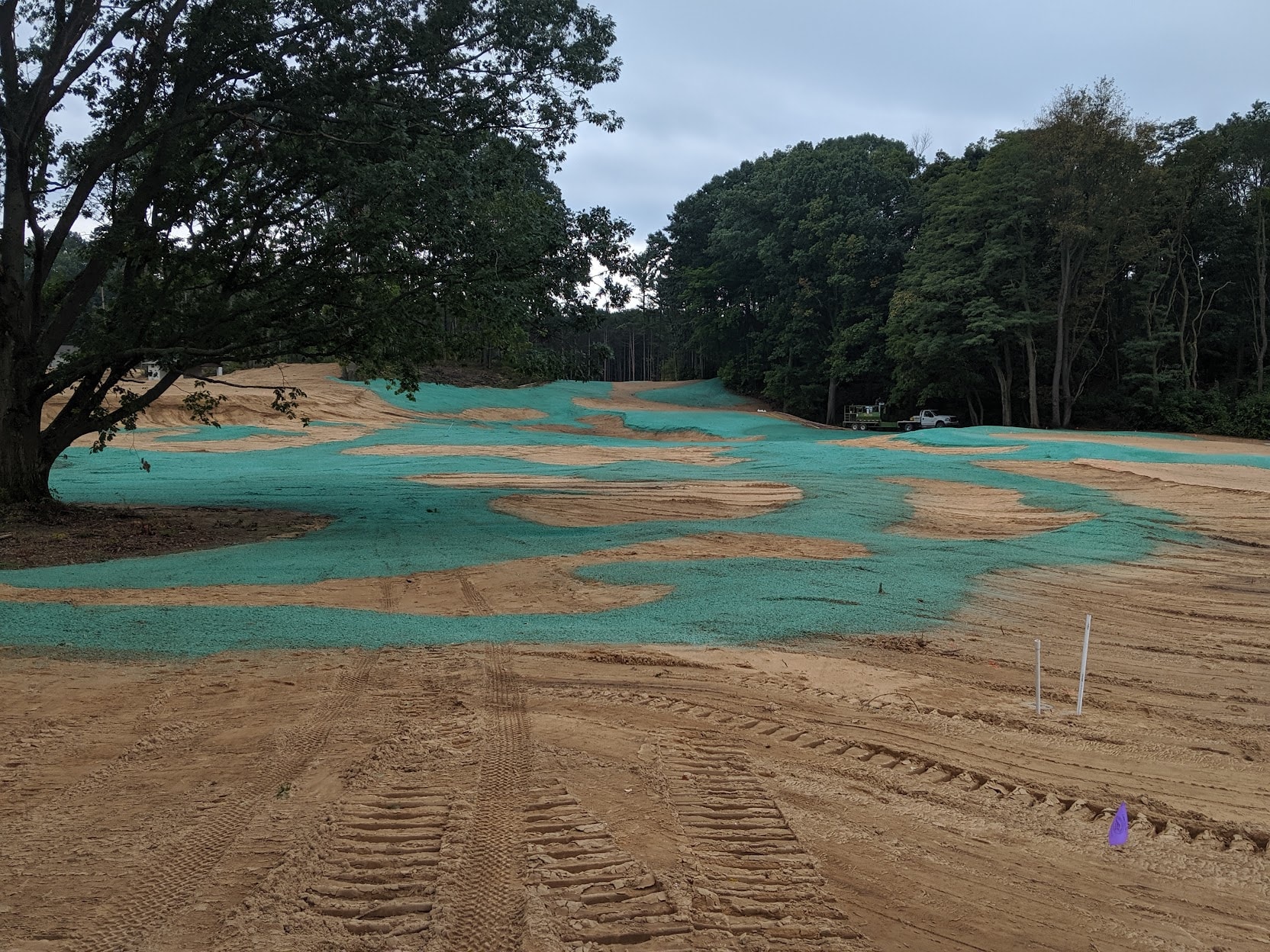 Hydromulch applied in patches across rough and fairway at American Dunes golf course