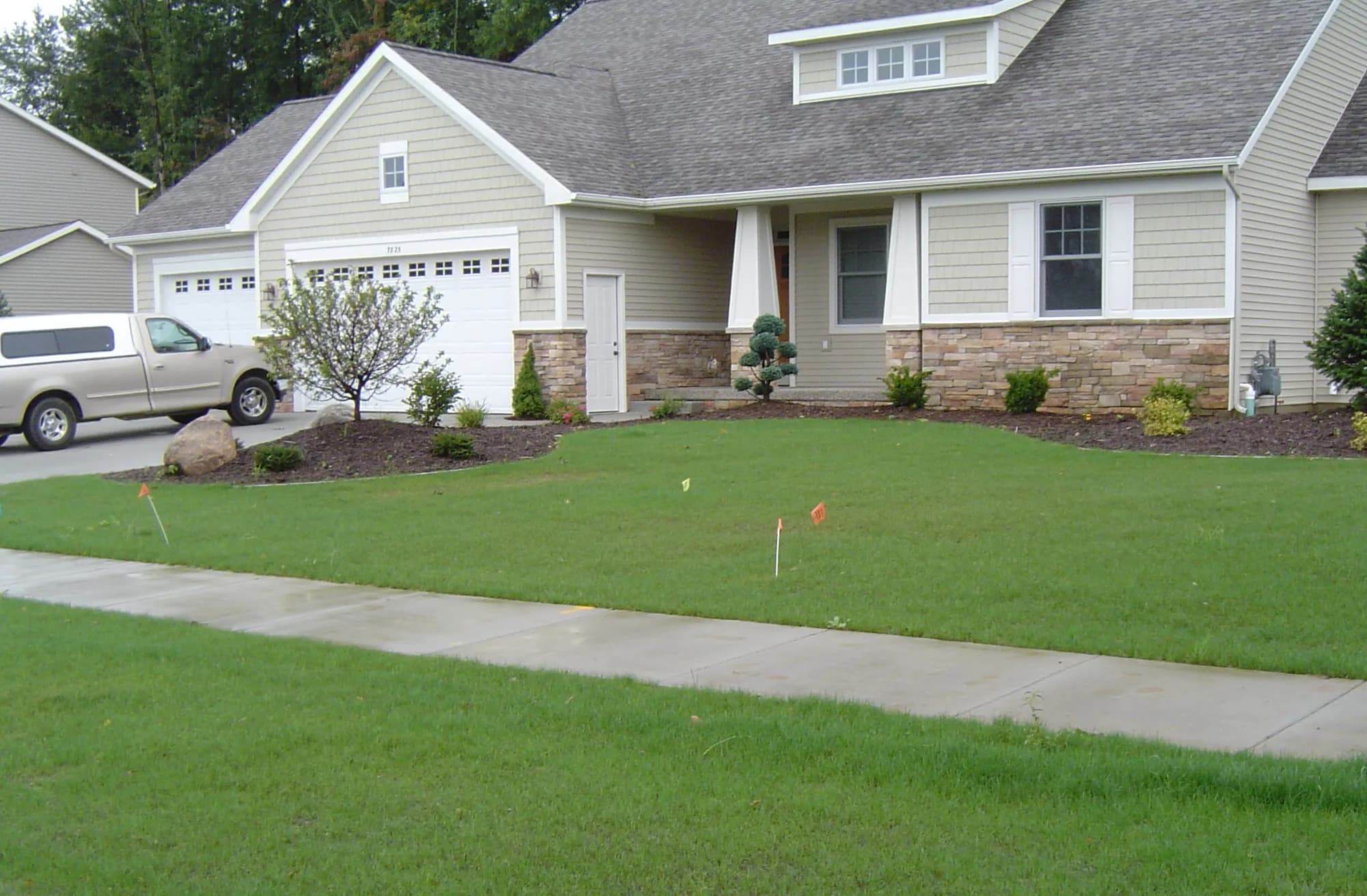 Hydroseeded lawn growth after 14 days in West Michigan