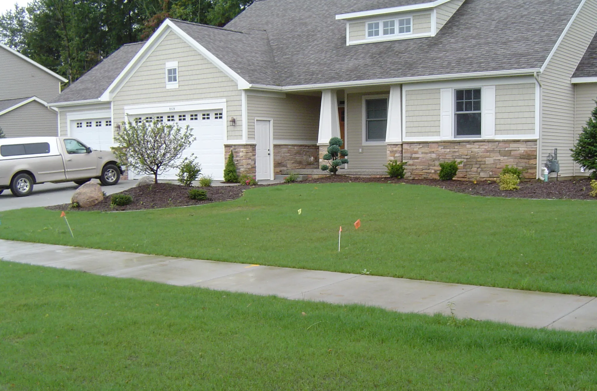 Lawn growth 14 days after hydroseeding