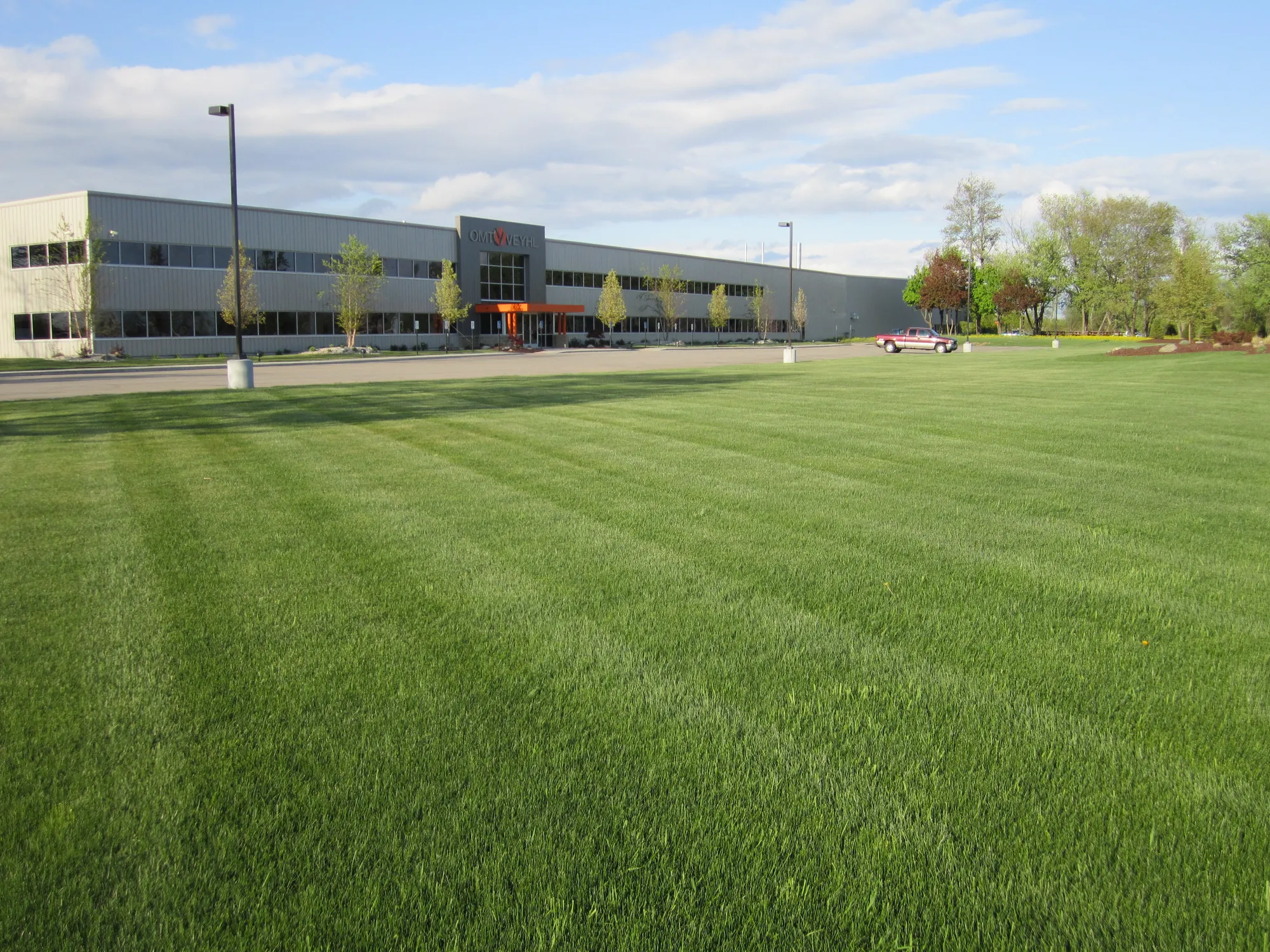 Finished hydroseeded lawn