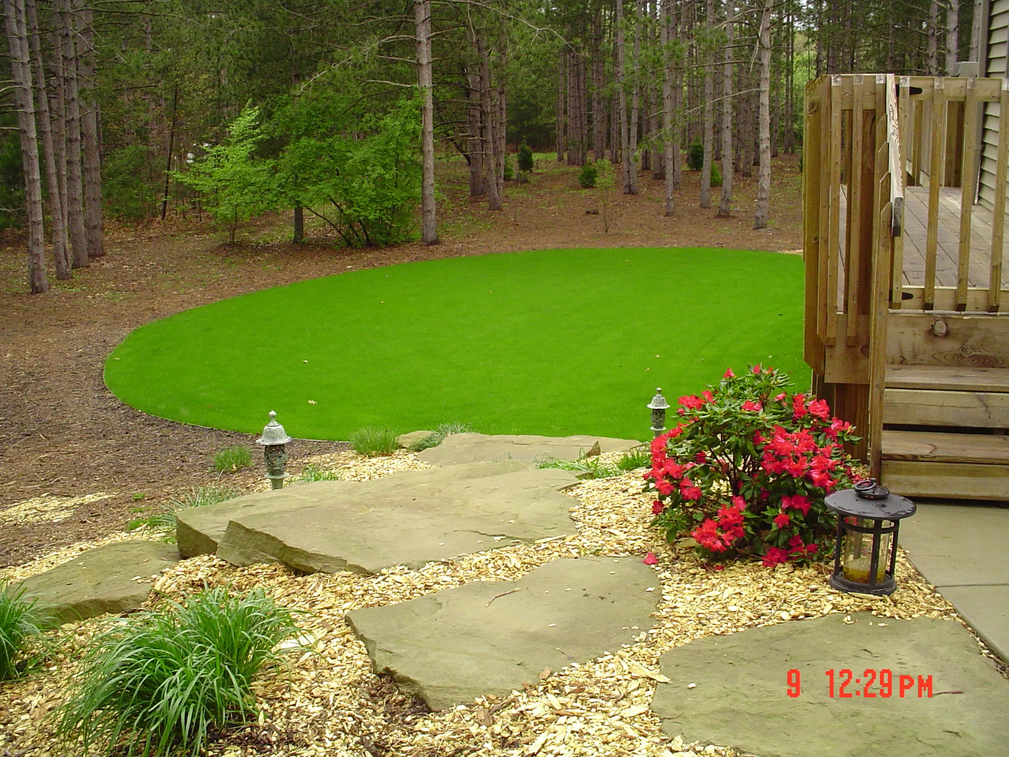 New construction lawn hydroseeding